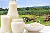 Все для молочного животноводства
